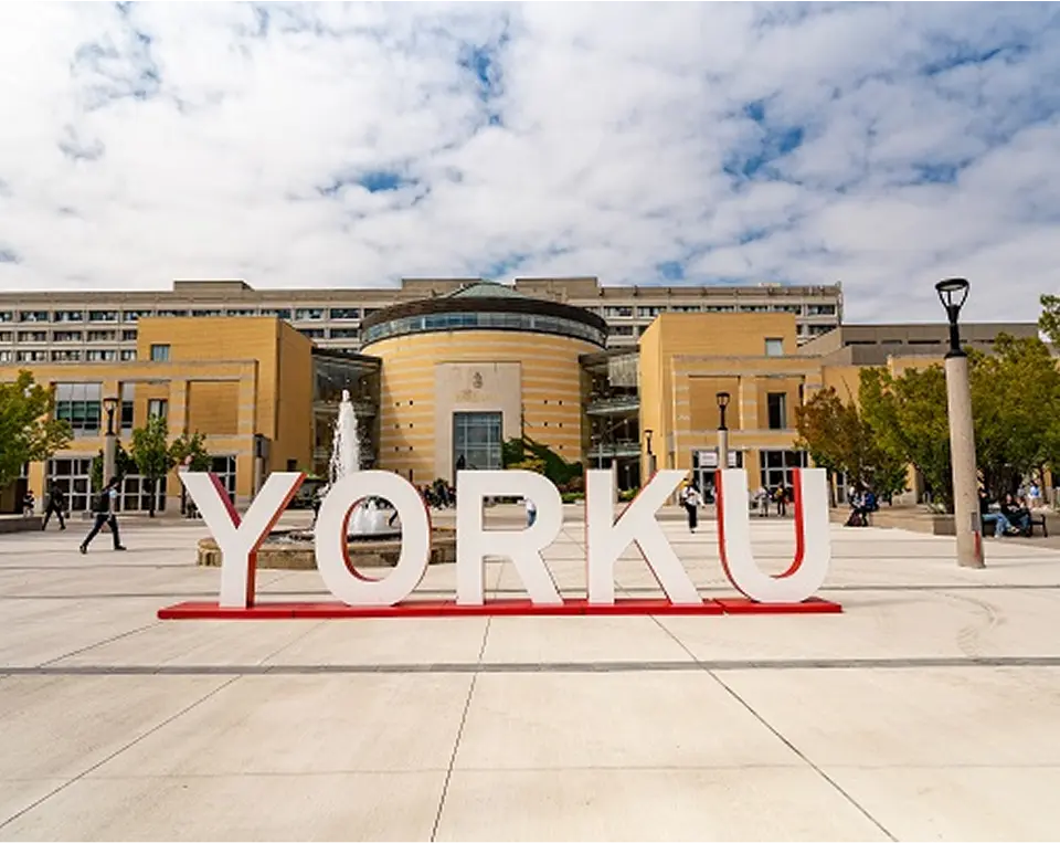 York University